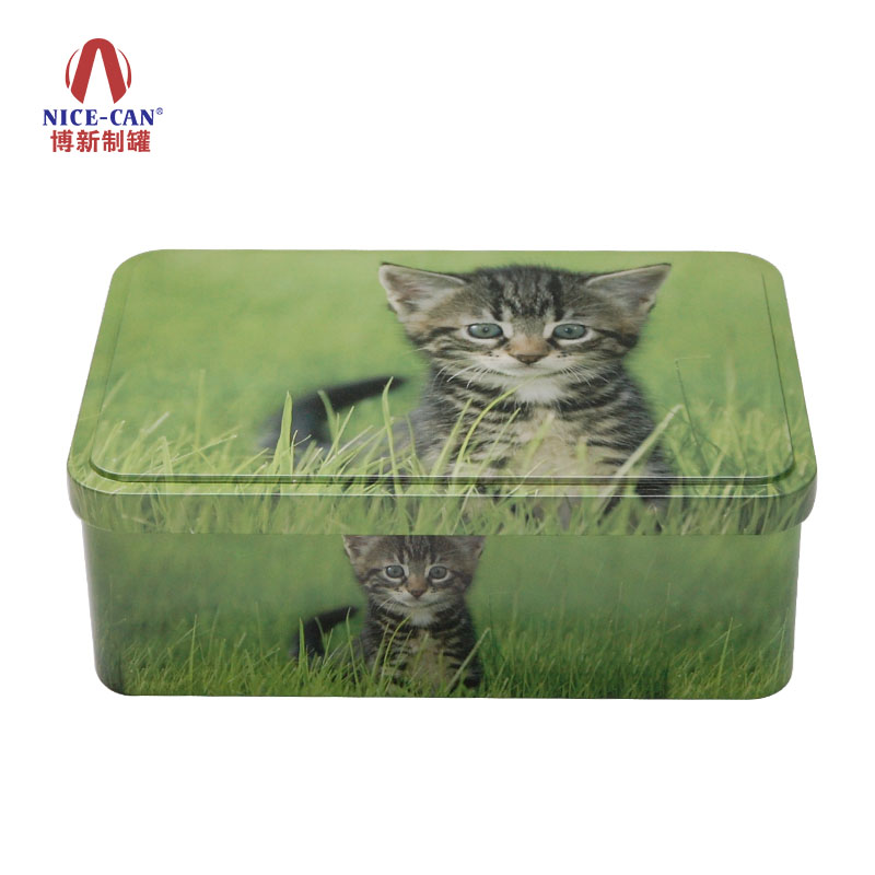 綠色環保鐵盒包裝